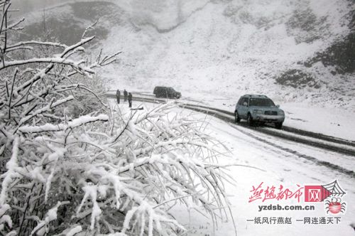塞罕壩飄雪